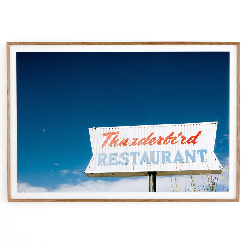 Four Hands Thunderbird Marfa Framed Artwork