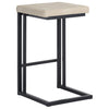 Sunpan Boone Counter Stool Set of 2