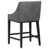 Sunpan Aurora Counter Stool Set of 2