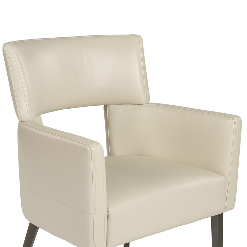 Sunpan Amerie Dining Armchair Set of 2