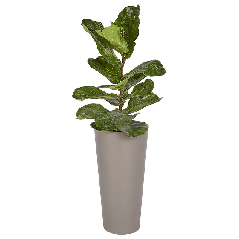 Sunpan Arbor Outdoor Planter