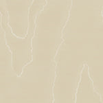 Cole & Son Landscape Plains Watered Silk Wallpaper