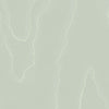 Cole & Son Landscape Plains Watered Silk Wallpaper
