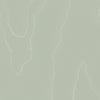 Cole & Son Landscape Plains Watered Silk Wallpaper
