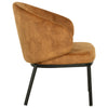 Sunpan Echo Lounge Chair