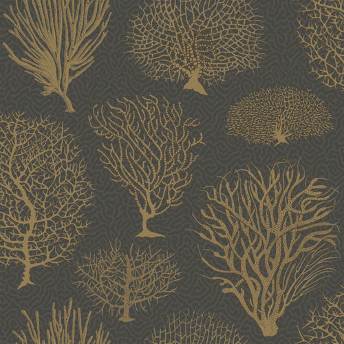 Cole & Son Curio Seafern Wallpaper