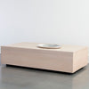 Sunpan Frezco Coffee Table