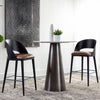 Sunpan Dezirae Bar Stool Set of 2