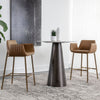 Sunpan Lucano Barstool Set of 2