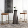 Sunpan Larissa Barstool Set of 2