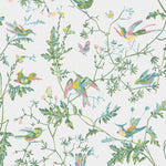 Cole & Son Selection of Hummingbirds Wallpaper