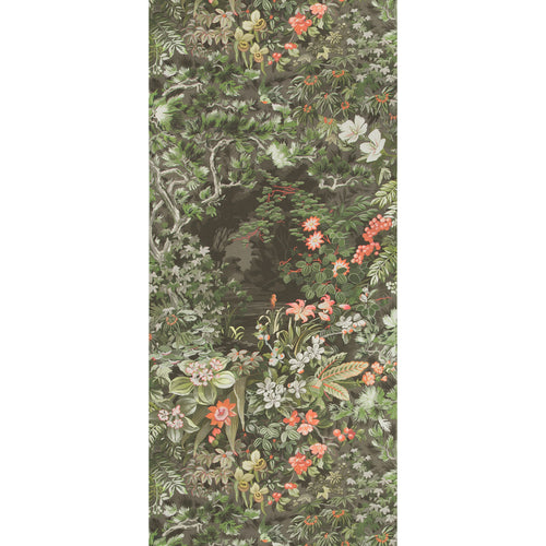 Cole & Son Botanical Botanica Woodland Wallpaper