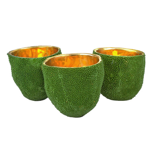 Currey & Co Jackfruit Vase Set of 3