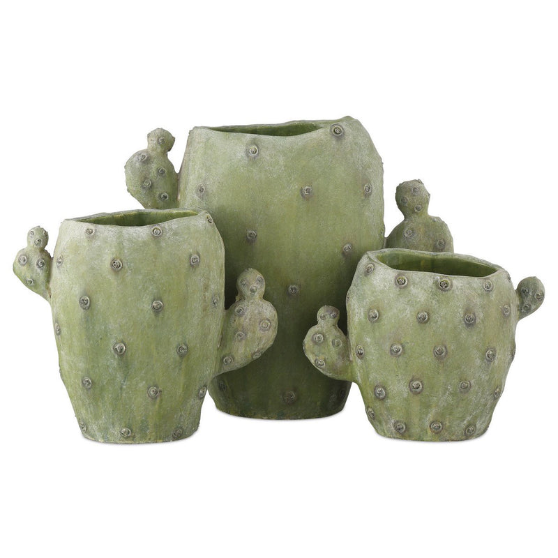 Currey & Co Cactus Vase Set of 3