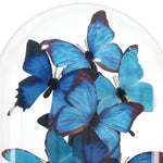 Currey & Co Rue de Bac Butterflies