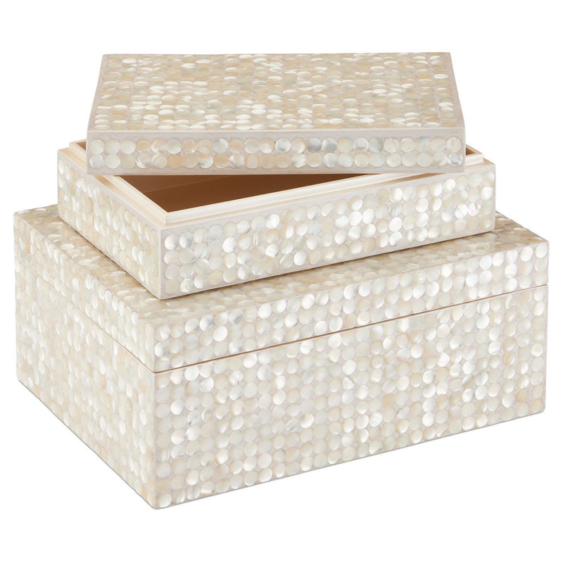 Currey & Co Gerri Dot Box Set of 2