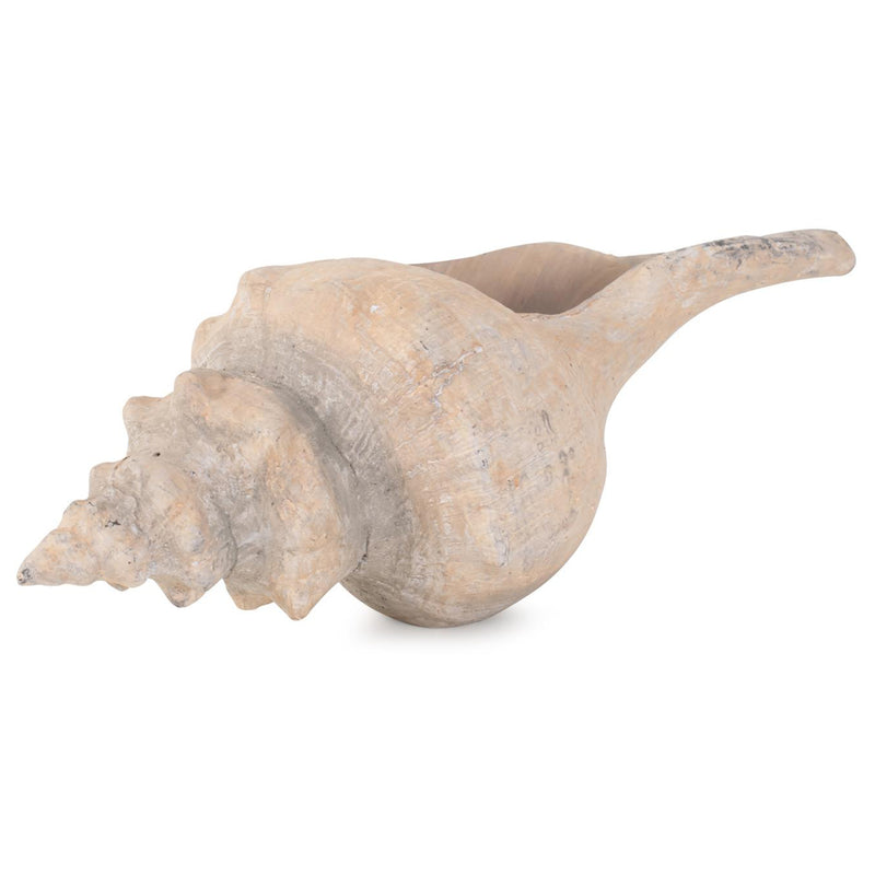 Horse Conch Sculpture