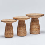 Interlude Home Laguna Bunching Table Set of 3