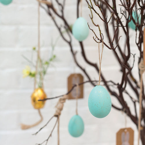 Robin Egg Ornament Set