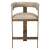 Interlude Home Darcy Counter Stool