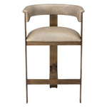 Interlude Home Darcy Counter Stool