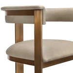 Interlude Home Darcy Bar Stool