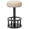 Interlude Home Drake Counter Stool