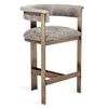 Interlude Home Darcy Counter Stool