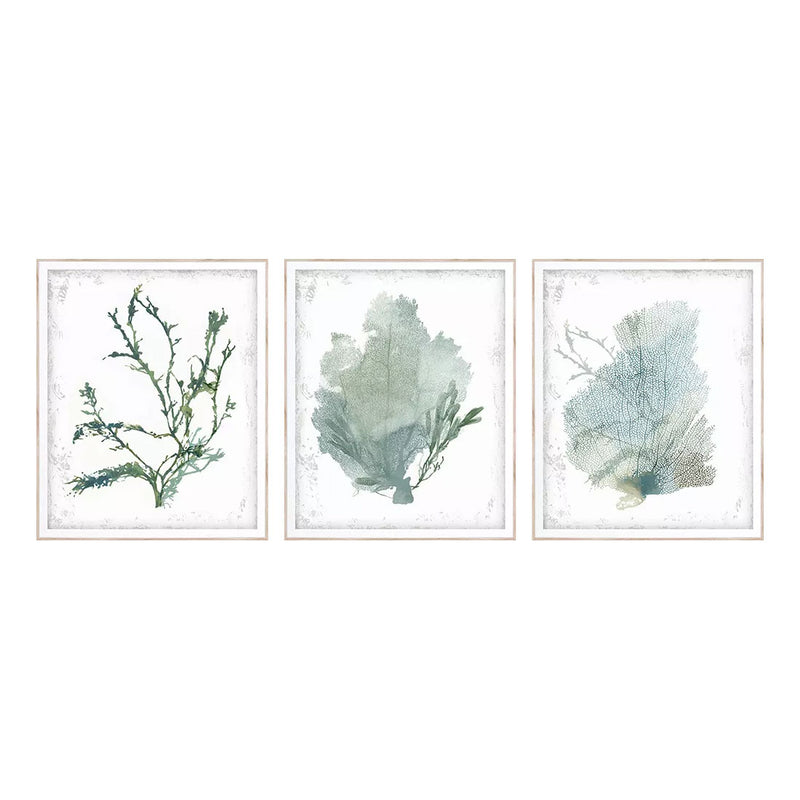 Wilson Emerald Coral II Framed Art Set of 3