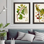 Antique Greenery IV Framed Art