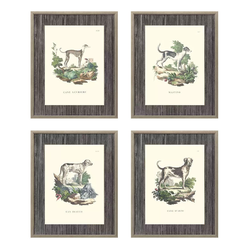 French Dogs Framed Art Set of 4