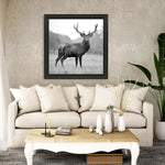 PhotoInc Studio Proud Deer Framed Art