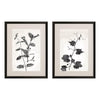 Barrett Garden Vines II Framed Art Set of 2