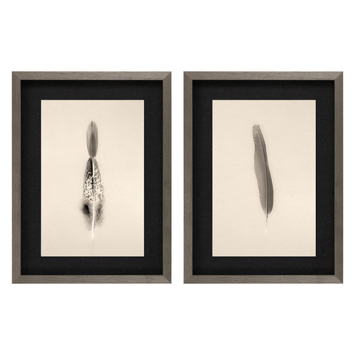 Larson Floating Feathers I Framed Art Set of 2