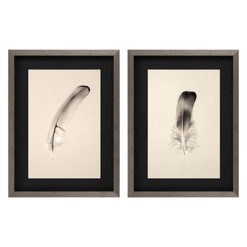 Larson Floating Feathers II Framed Art Set of 2