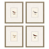 Simmons Shorebirds Framed Art Set of 4