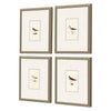 Simmons Shorebirds Framed Art Set of 4