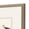 Simmons Shorebirds Framed Art Set of 4