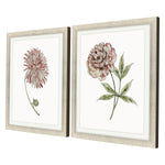 Inspire Studio Floral Beauty II Framed Art Set of 2