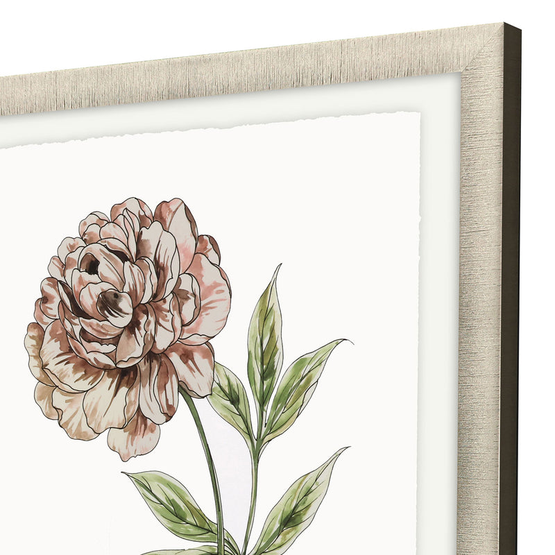 Inspire Studio Floral Beauty II Framed Art Set of 2