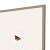 Cech Butterfly Framed Art Set of 4