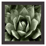 Jenson Green Succulent II Framed Art