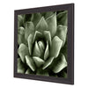 Jenson Green Succulent II Framed Art