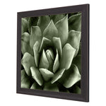 Jenson Green Succulent II Framed Art