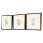 Vision Studio Antique Botanical II Framed Art Set of 3