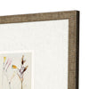 Vision Studio Antique Botanical II Framed Art Set of 3