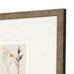 Vision Studio Antique Botanical II Framed Art Set of 3