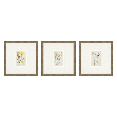 Vision Studio Antique Botanical II Framed Art Set of 3