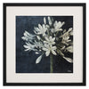 Pinto Midnight Lilies I Framed Art