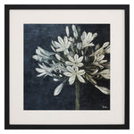 Pinto Midnight Lilies I Framed Art